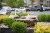 PhotOle_0094.JPG